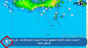 الأرصاد تكشف الاتجاه المتوقع لدرجات الحرارة بالأيام القادمة.. هل ترتفع أم تبقى ثابتة؟